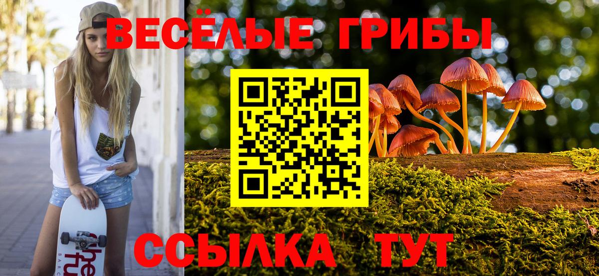 Галлюциногенные грибы Magic Shrooms  Вход с VPN  где найти наркотики  Орёл 